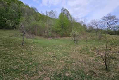 Teren intravilan 1454 mp la marginea padurii zona locuita de case! - 10