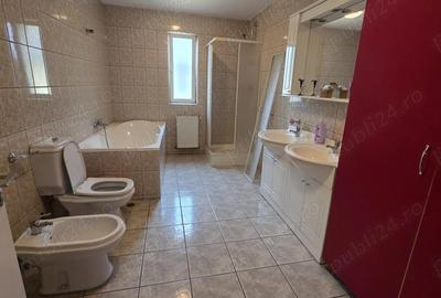 Spațiu comercial, de 220 mp, în Mehala - 1