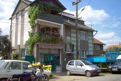 Casă cu 4 camere cu Teren 225 Mp în Aleșd - 3