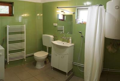 Casă cu 4 camere cu Teren 1294 Mp în Snagov - 8