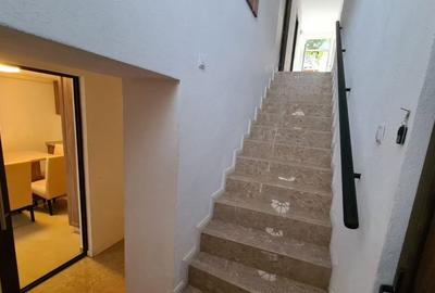 Casa individuala, zona Trei Stejari - strada linistita, curte, garaj, 4 camere - 4