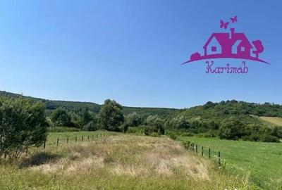 Teren de 1100 mp, în Hidiș - 5