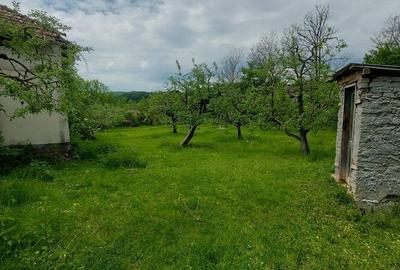 Casă cu 3 camere cu Teren 4000 Mp în Cetățeni - 2