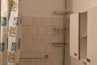 Apartament cu 2 camere semidecomandat în Ultracentral - 14