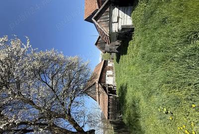 Casa de vanzare Zencani - 3