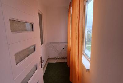 Garsonieră decomandată în Craiovița Nouă - 5