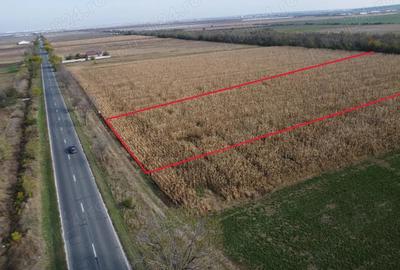 Comision 0! Teren 6800 mp, foarte aproape de de autostrada - 3