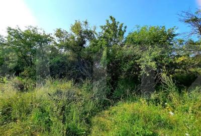 Teren de 3300 mp, în Central - 4