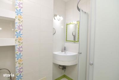 Apartament cu 2 camere decomandat, mobilat în Camil Ressu - 11