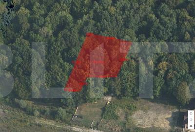 Teren intravilan, 1300 mp, Faget - 3