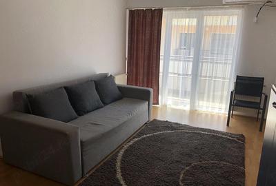 Apartament cu 2 camere semidecomandat în Mogoșoaia - 2