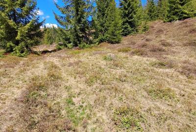 Spațiu comercial, în Petreasa - 2