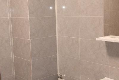 Apartament cu 2 camere decomandat în Roșu - 8