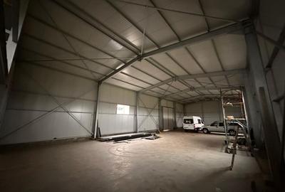 Spațiu industrial, de 550 mp, în Theodor Pallady - 2