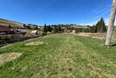 Teren de 3000 mp, în Poiana Horea - 4