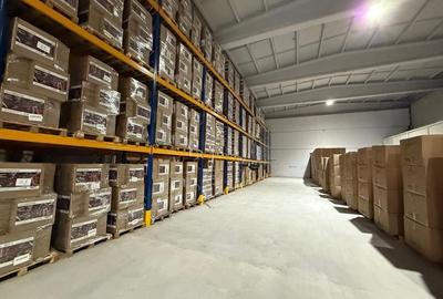 De Vanzare Hala Industrială Modernă - Oportunitate Unică în Sector 3 - 8