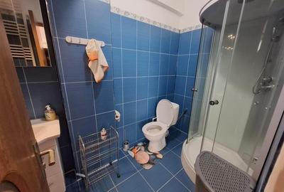 Penthouse 3 camere terasa de 58 mp si loc de parcare zona Doamna Stanca - 11