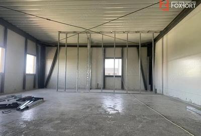 Hala de inchiriat cu platforma betonata de 1334 mp, zona Sanandrei - 8