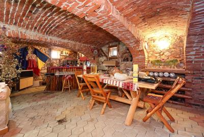 Reședință exclusivistă cu potențial investițional în centrul Cristian - 25