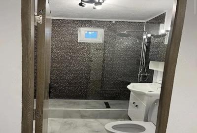 Apartament cu 2 camere decomandat în Lipovei - 2