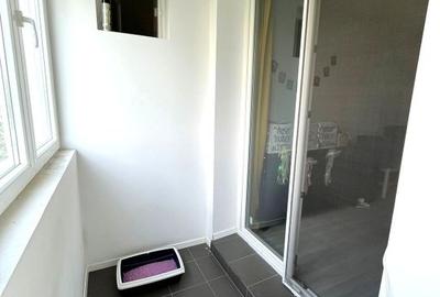 3 camere renovat decomandat Dristor | P-ța Râmnicu Sărat - 10