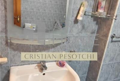 Vila  Provita de  Jos 380mp - 33