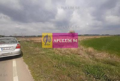 Teren de 5110 mp, în 1 Decembrie - 20