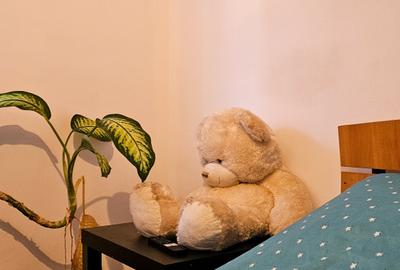 Casă individuală cu 5 camere cu Canalizare în Chitila - 17