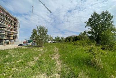 Teren Sisesti 9055 mp teren superb deschidere str lac 60 m - 7