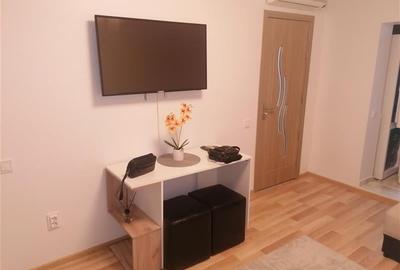 NOU Prima Inchiriere Garsoniera Spatioasa Iulius Mall Aradului - 10