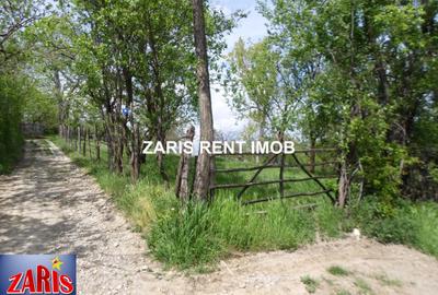 Teren Construcții intravilan de 3658 mp, în Predeal-Sărari - 10