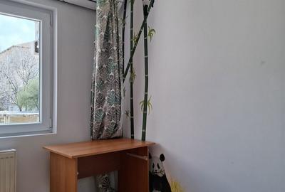 Apartament cu 3 camere decomandat în Lipovei - 3