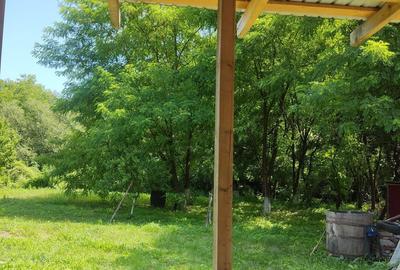 Casă cu 3 camere în Ohaba Română - 5