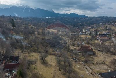 Teren 1,614mp Sohodol / Strada Inv. Ioan Puscariu
