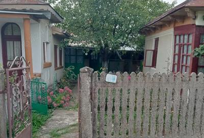Vand casa la tara, complet utilata, doua locuinte in curte - 5