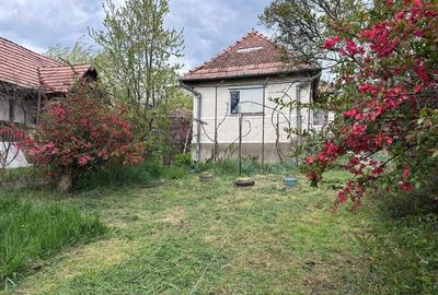 Casă cu 3 camere în Cozma - 6