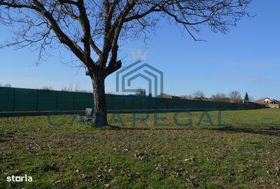 Spațiu comercial, în Biharia - 6