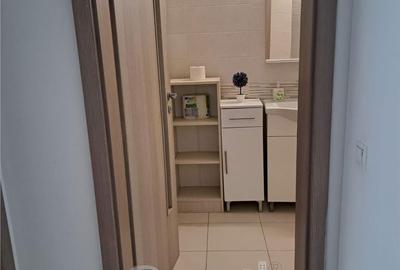 Apartament cu 2 camere semidecomandat în Tudor Vladimirescu - 6