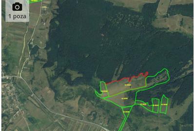 Teren de 480000 mp, în Prunișor - 4