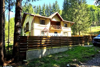 Spațiu comercial, de 200 mp, în Valea Doftanei - 3