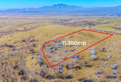 Teren agricol extravilan de 11300 mp, în Tohanu Vechi