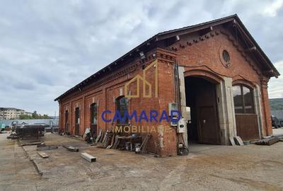 Spatiu industrial - hala productie si depozitare - PUCIOASA - 3