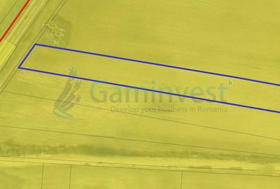 Teren Construcții intravilan de 7556 mp, în Nojorid - 3