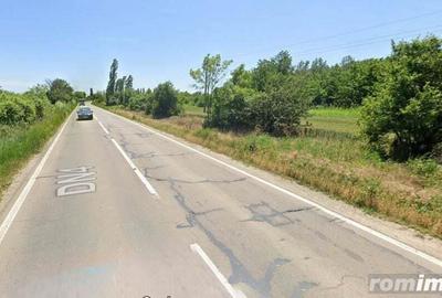 Teren de 79000 mp, în Nord - 1