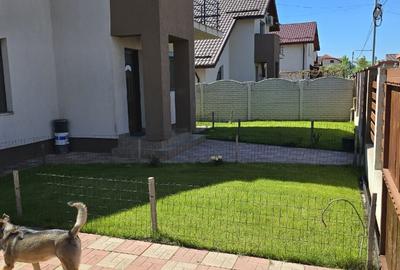 Casă individuală cu 4 camere cu Teren 380 Mp în Berceni - 3
