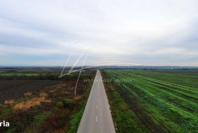 Teren de 113950 mp, în Uliești - 4