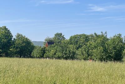 Teren Construcții intravilan de 1559 mp, în Brebu Mânăstirei - 2