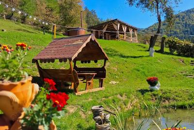 Vand casa de vacanta Ta?ca Neam? - 3