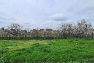 Teren de 2266 mp, în Bazoș - 1