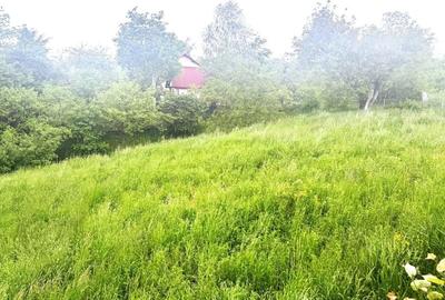 Casa de  vis la tara - vedere panoramica - living 60 mp - in inima  Cacicai - 18